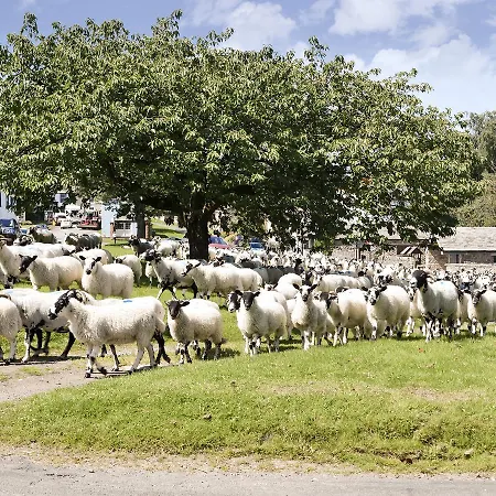 Greenway Semesterbostad
